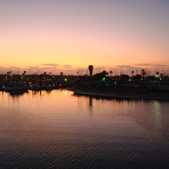 Meet your Posher, Misty - Picture 1 of 1